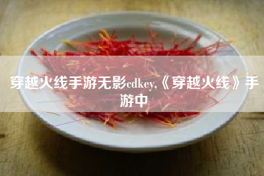 穿越火线手游无影cdkey,《穿越火线》手游中