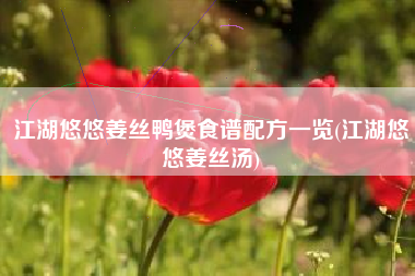 江湖悠悠姜丝鸭煲食谱配方一览(江湖悠悠姜丝汤)