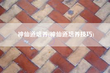 神仙道培养(神仙道培养技巧)