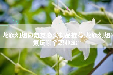 龙族幻想微氪党必买物品推荐(龙族幻想0氪玩哪个职业2021)