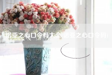 诺亚之心口令码大全(诺亚之心口令码)
