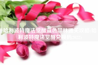 哈利波特魔法觉醒蓝色禁林通关攻略(哈利波特魔法觉醒兑换码2022)