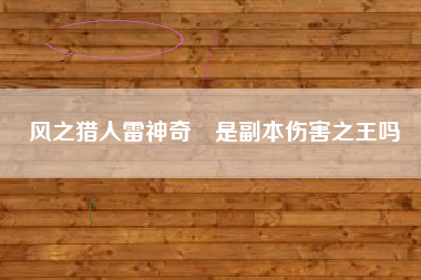 风之猎人雷神奇犽是副本伤害之王吗
