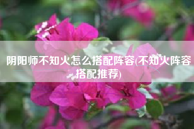 阴阳师不知火怎么搭配阵容(不知火阵容搭配推荐)