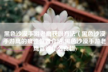 黑色沙漠手游老鹰获取方法（黑色沙漠手游鹰的痕迹位置介绍(黑色沙漠手游老鹰喜欢什么食物)