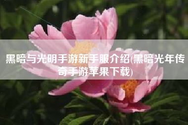 黑暗与光明手游新手服介绍(黑暗光年传奇手游苹果下载)