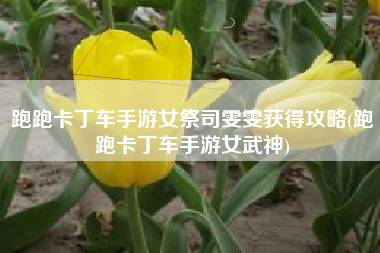 跑跑卡丁车手游女祭司雯雯获得攻略(跑跑卡丁车手游女武神)