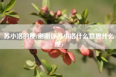 苏小洛的梗(谢谢你苏小洛什么意思什么梗)