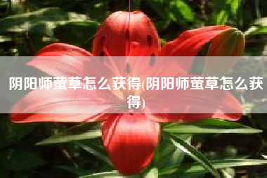 阴阳师萤草怎么获得(阴阳师萤草怎么获得)