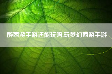 醉西游手游还能玩吗,玩梦幻西游手游