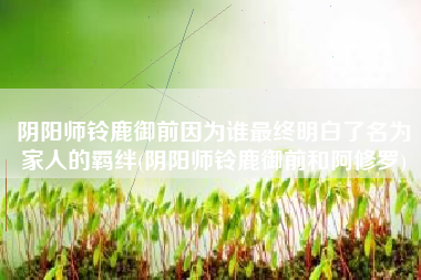 阴阳师铃鹿御前因为谁最终明白了名为家人的羁绊(阴阳师铃鹿御前和阿修罗)