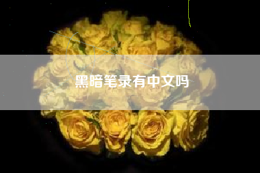 黑暗笔录有中文吗