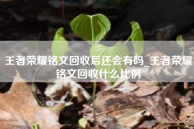 王者荣耀铭文回收后还会有吗_王者荣耀铭文回收什么比例