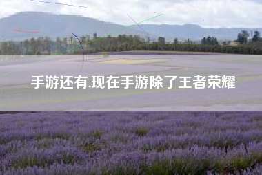 手游还有,现在手游除了王者荣耀