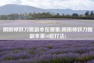 阴阳师妖刀姬副本在哪里(阴阳师妖刀姬副本第10层打法)
