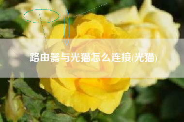 路由器与光猫怎么连接(光猫)
