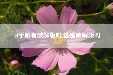 cf手游有破解版吗,这是破解版吗