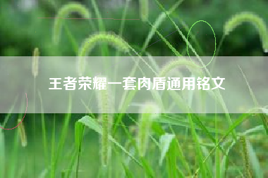 王者荣耀一套肉盾通用铭文