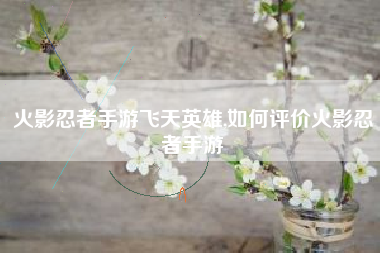 火影忍者手游飞天英雄,如何评价火影忍者手游