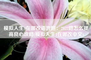 模拟人生4在哪改语言附：2022路怎么提高良心攻略(模拟人生4在哪改中文)