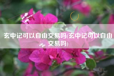 玄中记可以自由交易吗(玄中记可以自由交易吗)