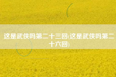 这是武侠吗第二十三回(这是武侠吗第二十六回)