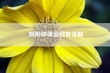 阴阳师魂音回复详解