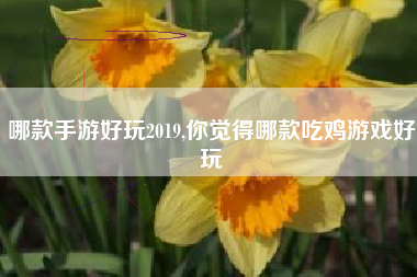 哪款手游好玩2019,你觉得哪款吃鸡游戏好玩