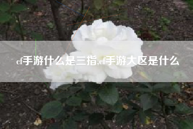cf手游什么是三指,cf手游大区是什么