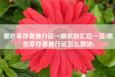 黑色幸存者通行证一期奖励汇总一览(黑色幸存者通行证怎么激活)