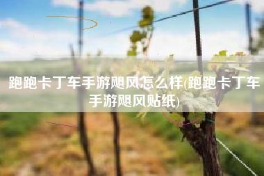 跑跑卡丁车手游飓风怎么样(跑跑卡丁车手游飓风贴纸)
