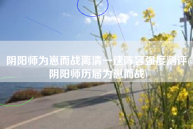 阴阳师为崽而战离清一速阵容强度测评(阴阳师历届为崽而战)