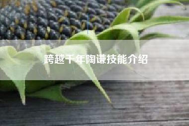 跨越千年陶谦技能介绍