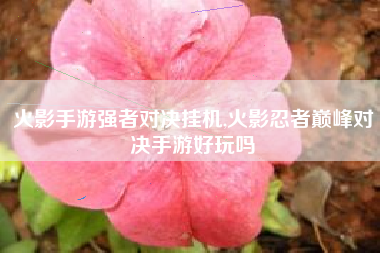 火影手游强者对决挂机,火影忍者巅峰对决手游好玩吗