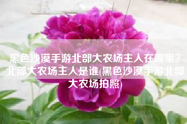 黑色沙漠手游北部大农场主人在哪里？北部大农场主人是谁(黑色沙漠手游北部大农场拍照)