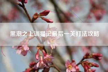 黑潮之上训猫记最后一关打法攻略
