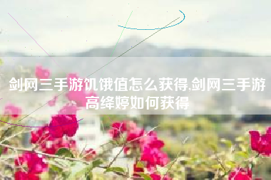 剑网三手游饥饿值怎么获得,剑网三手游高绛婷如何获得