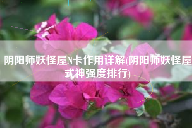阴阳师妖怪屋N卡作用详解(阴阳师妖怪屋式神强度排行)