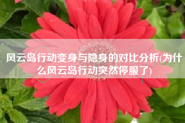 风云岛行动变身与隐身的对比分析(为什么风云岛行动突然停服了)