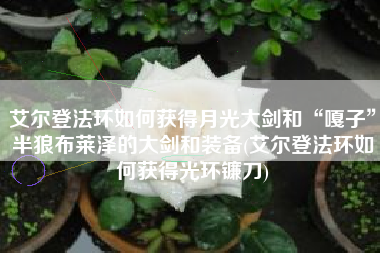 艾尔登法环如何获得月光大剑和“嘎子”半狼布莱泽的大剑和装备(艾尔登法环如何获得光环镰刀)