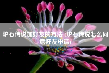 炉石传说加好友的方法 (炉石传说怎么同意好友申请)