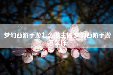 梦幻西游手游怎么做主播,梦幻西游手游怎么样