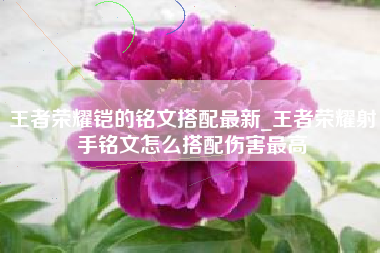 王者荣耀铠的铭文搭配最新_王者荣耀射手铭文怎么搭配伤害最高