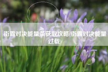 街霸对决能量条获取攻略(街霸对决能量过载)