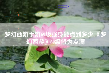 梦幻西游手游69级强身能点到多少,《梦幻西游》69级修为点满