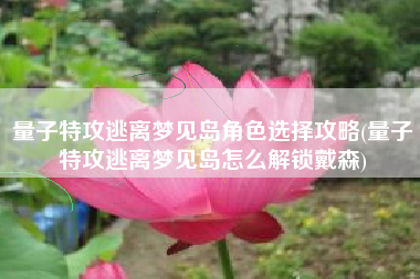 量子特攻逃离梦见岛角色选择攻略(量子特攻逃离梦见岛怎么解锁戴森)