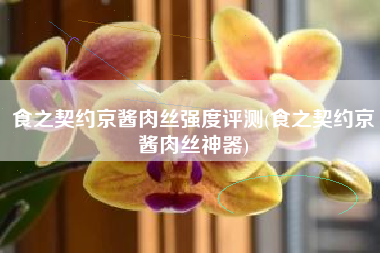 食之契约京酱肉丝强度评测(食之契约京酱肉丝神器)