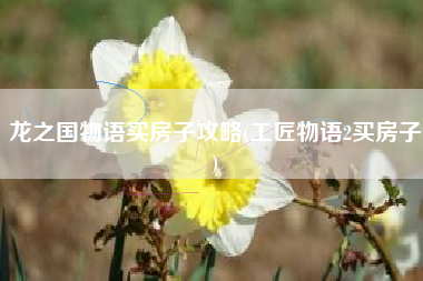 龙之国物语买房子攻略(工匠物语2买房子)