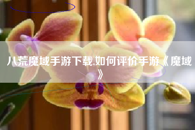 八荒魔域手游下载,如何评价手游《魔域》