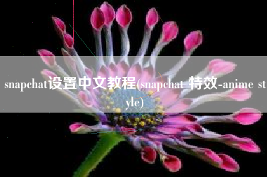 snapchat设置中文教程(snapchat 特效-anime style)